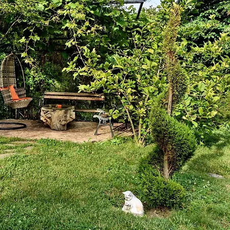 招待所 维拉玛提41号酒店