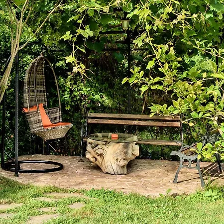 Guest house Saltanat 41