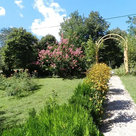 Saltanat 41 Guest house