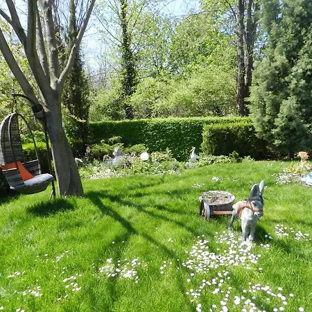 Saltanat 41 Guest house 2*