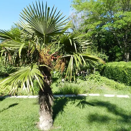 招待所 维拉玛提41号酒店 瓦爾納