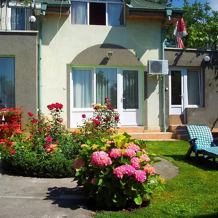 Saltanat 41 2* Warna