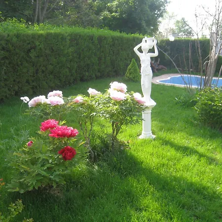 Saltanat 41 Guest house